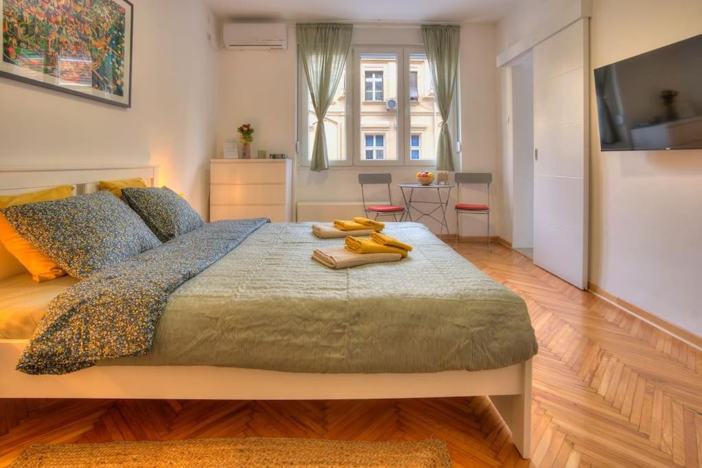 公寓 Dorcol Apartment-new 贝尔格莱德
