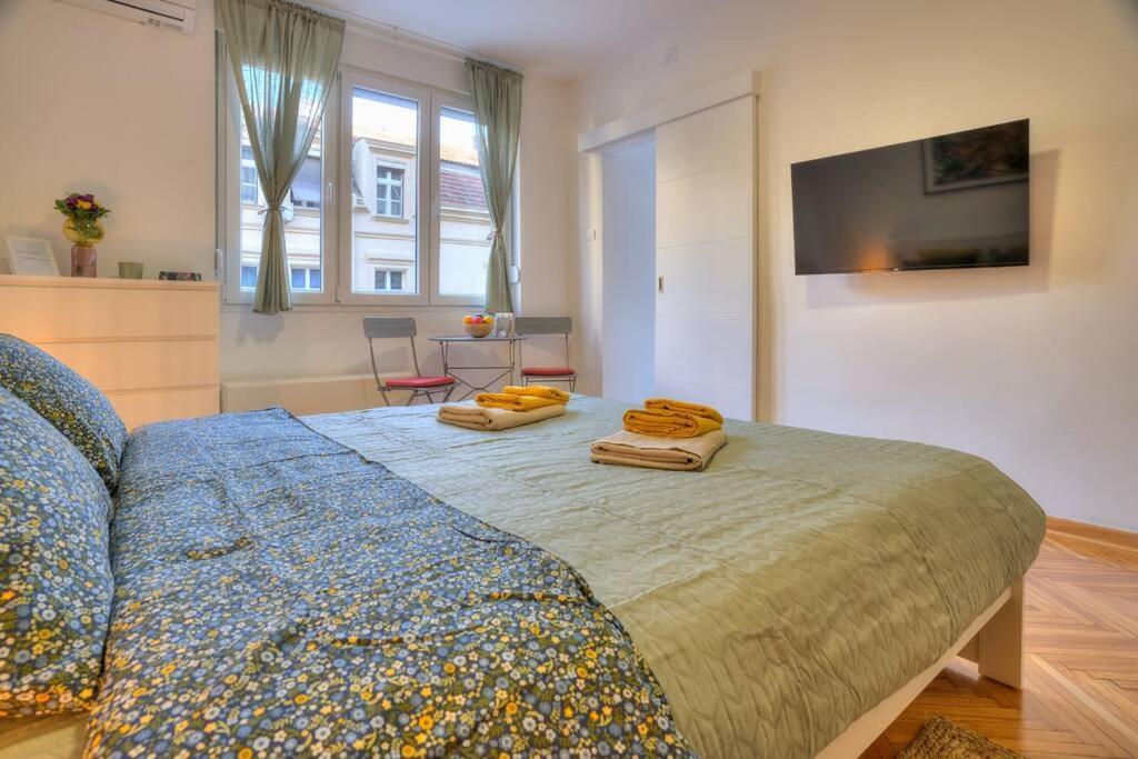 公寓 Dorcol Apartment-new 贝尔格莱德