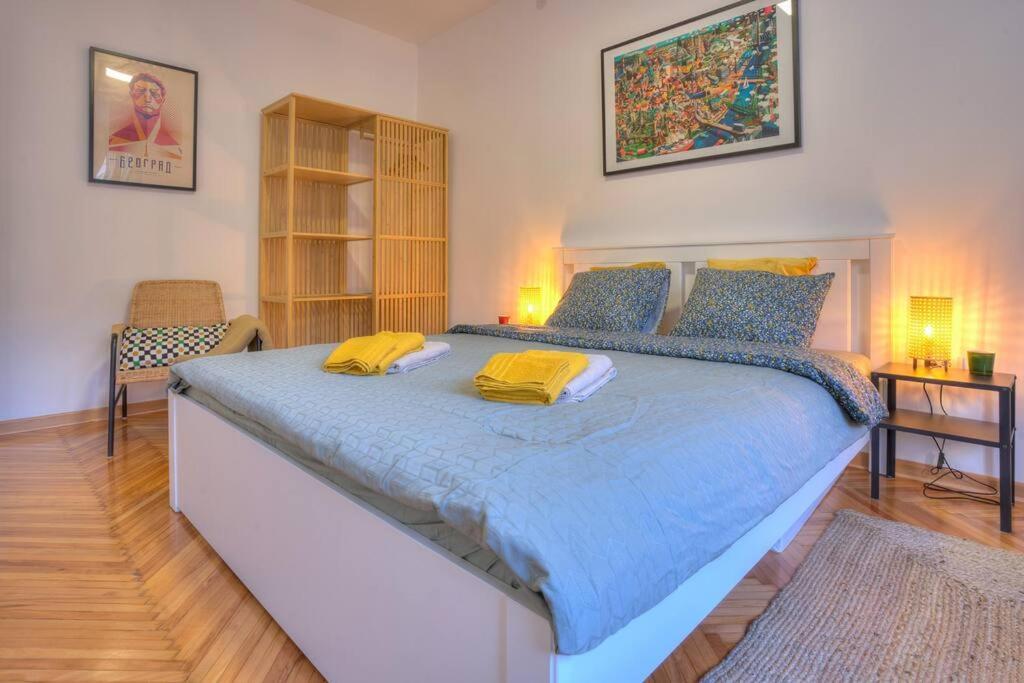 Dorcol Apartment-new 贝尔格莱德