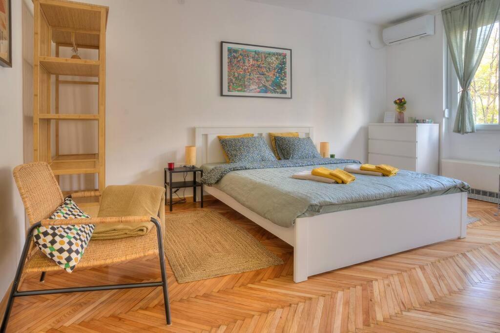 Dorcol Apartment-new 贝尔格莱德