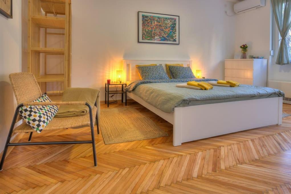 公寓 Dorcol Apartment-new 贝尔格莱德